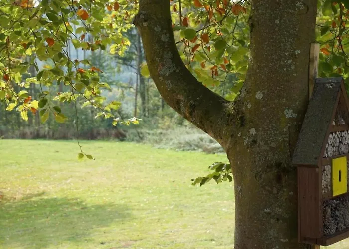 Harmonie By Interhome