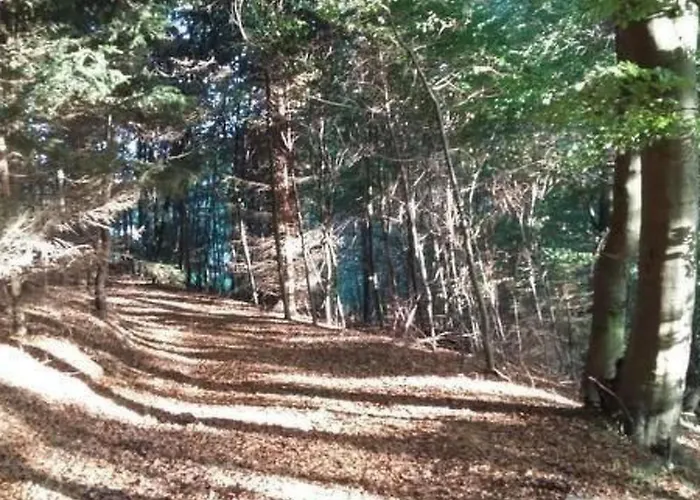 Harmonie By Interhome Kirchheim (Hessen)